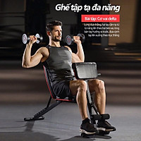 Ghế Tập Gym, Tập Tạ Đa Năng Hỗ Trợ Tập Cơ Tay, Bắp Tay, Cơ Bụng P189