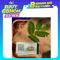 Xà Bông Cao Thảo Dược - Herbal Soap - Làm 100% Từ Thiên Nhiên