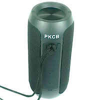 Loa nghe nhạc Hỗ Trợ Kết Nối Bluetooth 5.0, Thẻ Nhớ Loa di động - PKCB - Hàng Chính Hãng