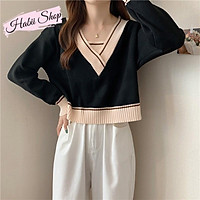 Áo len nữ cao cấp croptop cổ V - Áo len nữ dài tay kiểu Hàn Quốc HABII AL01