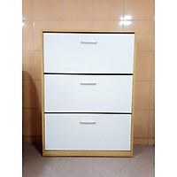 TỦ GIÀY THÔNG MINH TG1