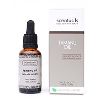 TINH DẦU DƯỠNG DA MẶT NGUYÊN CHẤT TAMANU (MÙ U)- PURE TAMANU OIL 30ML
