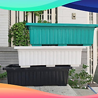 Chậu dài sọc nhựa dày trồng rau, hoa size 64cm x 22cm x19cm