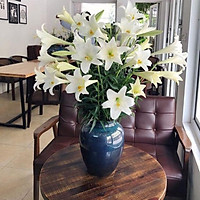 Bình hoa dáng chum men hoả biến bóng kính