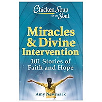 Chicken Soup For The Soul: Miracles & Divine Intervention: 101 Stories Of Faith And Hope