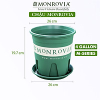 Chậu nhựa trồng cây kèm đĩa lót MONROVIA để bàn, treo ban công, treo tường, ngoài trời, sân vườn, tiêu chuẩn Châu Âu