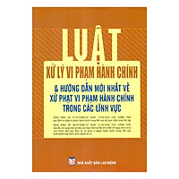 Luật Xử Lý Vi Phạm Hành Chính Và Hướng Dẫn Mới Nhất Về Xử Phạt Vi Phạm Hành Chính Trong Các Lĩnh Vực