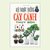 Kỹ Thuật Trồng Cây Cảnh Thủy Bồn