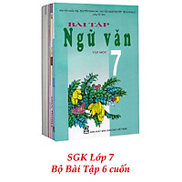 Sách Giáo Khoa Bộ Lớp 7 - Sách Bài Tập (Bộ 6 Cuốn) (2021)