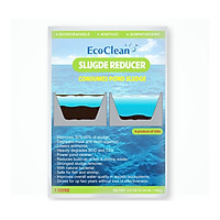 EcoClean Sludge Reducer - Men Vi Sinh Xử Lý Bùn Đáy Ao Nuôi Tôm, Cá - Gói 100g