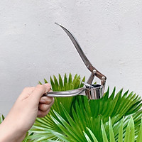 Dụng Cụ Kẹp Nghiền Tỏi Đa Năng Tiện Dụng