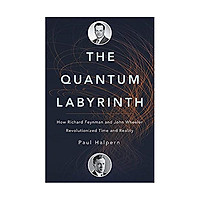 The Quantum Labyrinth