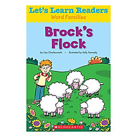 Let’s Learn Readers: Brock’s Flock