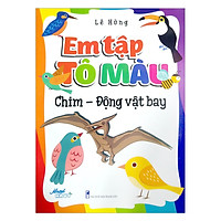 Em Tập Tô Màu – Chim –  Động Vật Bay