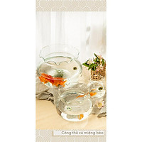 Bể cá Mini, Bình thủy tinh nuôi cá để bàn ,chậu cá thủy tinh minh, chậu thủy tinh trồng cây thủy sinh