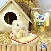 Bánh đậu phộng ăn vặt thú cưng (4 miếng)