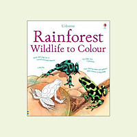 Rainforest Wildlife to Colour