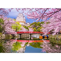 Tranh ghép hình 1000 mảnh 2cm khổ 54×74 – Tranh xếp hình Puzzle cao cấp lâu đài Himeji – Himeji Castle’s