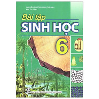 Bài Tập Sinh Học 6 (T9)
