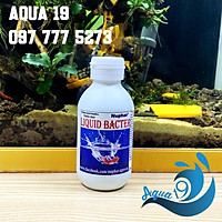 Chế phẩm sinh học vi sinh Nuphar Bacter Liquid chống sốc nước, xử lý nước hồ cá