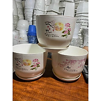 Chậu nhựa trồng cây để bàn xinh xắn rông 18 cm cao 22 cm