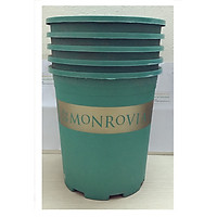 5 Chậu Trồng Hoa , Cây Cảnh MONROVIA Màu Xanh 5Gal