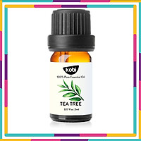 Tinh Dầu Tràm Trà Kobi - Tinh Dầu Thiên Nhiên Nguyên Chất, Tinh Dầu Xông Phòng, Giúp Giảm Stress, Xua Đuổi Côn Trùng Và Khử Mùi Hiệu Quả, Thích Hợp Dùng Với Đèn Xông Và Máy Khuếch Tán Tinh Dầu (5ml)