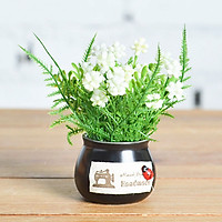 Cây trồng trong chậu thời trang để trang trí văn phòng tại nhà
