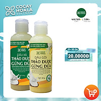Bộ dầu gội thảo dược gừng dừa Cocayhoala trị gàu trị rung tóc kích thích mọc tóc làm mềm mượt phục hồi hư tổn dung tích 90g/chai