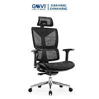 Ghế công thái học GOVI Ergonomic Plato PL11 Thiết kế bảo vệ sức khỏe