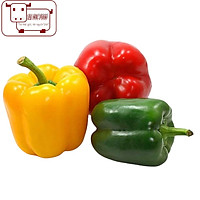Ớt chuông 3 màu - bell pepper red/ yellow/ green 400-600g