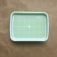 KHAY trồng rau mầm thủy canh hai lớp 34X25X5H - Xanh
