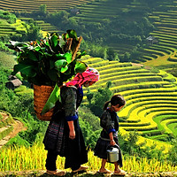 Combo Sapa 2N1Đ - Khách sạn 2*