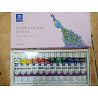 BỘ ACRYLIC MEMORY DẠNG TÚYP 12ml 12/18/24 MÀU