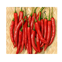 ( Chỉ Giao HN) Ớt Kim 250g
