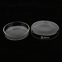 Lab Petri Dish Glass Sterile Cell/Plant Tissue Culture Dish with Lid