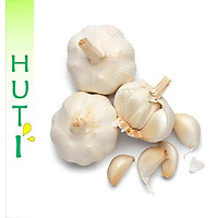CỦ TỎI - 500 GRAM