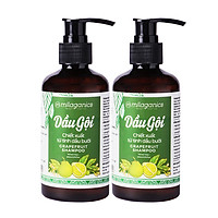 Combo 2 Dầu Gội Tinh Dầu Bưởi Kích Thích Mọc Tóc, Ngăn Ngừa Rụng Tóc MILAGANICS 250ml