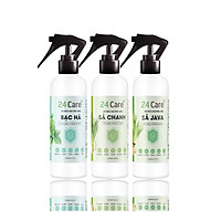 COMBO 3 chai Xịt Phòng Tinh Dầu Sả Chanh + Sả Java + Bạc Hà Hữu Cơ Organic 24Care 250ML/Chai - Kháng khuẩn - Khử mùi hôi - Đuổi muỗi, côn trùng - Tập trung tinh thần làm việc, lái xe, học hành - Hương thơm thư giãn.