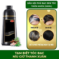Dầu gội phủ bạc thiên nhiên 500ml, Gội Nhuộm Tóc Nhân Sâm Giúp Phủ Bạc Đen Tóc, 100% Thảo Dược Tự Nhiên