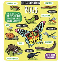LITTLE EXPLORERS BUGS