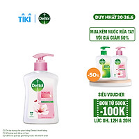 Nước rửa tay Dettol kháng khuẩn dưỡng da - Chai 250g
