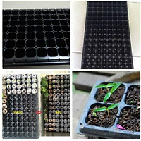 KHAY GIEO HẠT GIỐNG 105 lỗ - SET 20 CÁI
