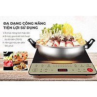 BẾP TỪ ĐƠN SUNHOUSE SHD6869