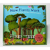 How Plants Work