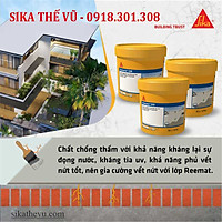 Chống thấm không cần đục gạch, chống thấm lộ thiên - Sikalastic 590 (thùng 20kg)