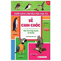 Cuốn Sách Lớn Đầu Tiên Của Tôi – Về Chim Chóc