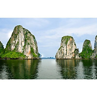 Giấy dán tường - 91
