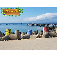 TOUR QUY NHƠN - PHÚ YÊN - CÙ LAO XANH 4N3D