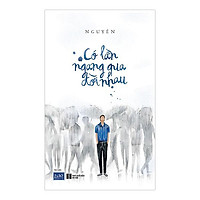 Có Lần Ngang Qua Đời Nhau ( Tái Bản )